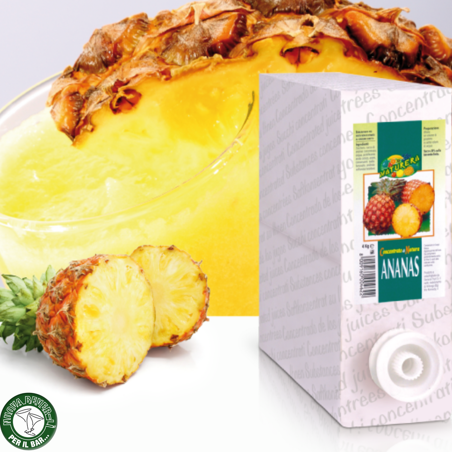 Succo concentrato ANANAS Bag in Box 4KG