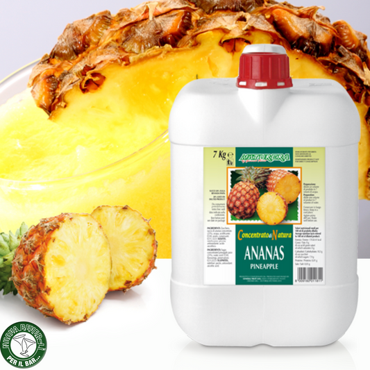 Succo concentrato ANANAS tanica PET 7 Kg